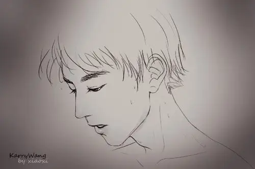 王俊凯饭绘20160117