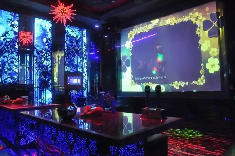 疯疯疯麦克疯冰雪主题ktv高逼格让你high到爆根本停不下来