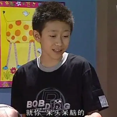 家有儿女,刘星的头像