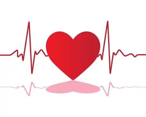 心,心率,桃心,喜爱,插画