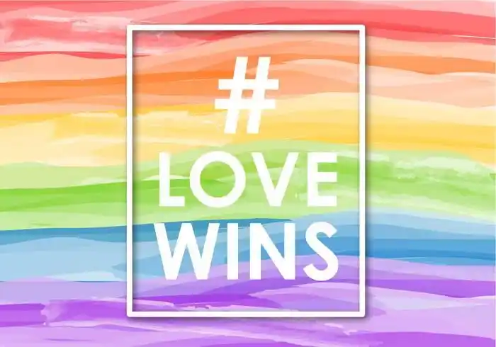 lovewins背景的免费矢量图,完美的为您的项目