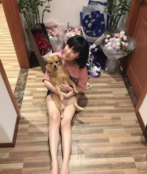 黄龄一曲后来唱哭白冰网友黄龄不仅唱功好嘴更能说