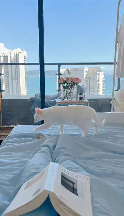 ins风雾霾蓝治愈系壁纸最新版爱自己这件事不可以糊弄