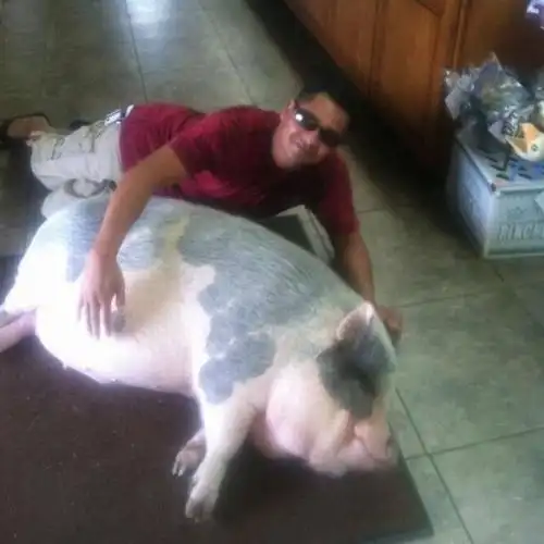 笑死人不偿命的搞笑动物(组图)