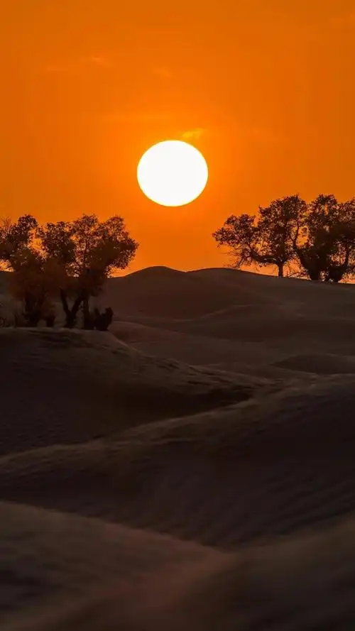 最美不过夕阳红 精选高清落日壁纸