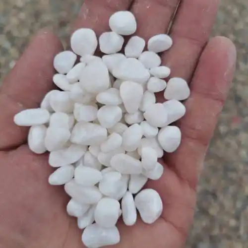 产品实拍:石家庄登峰建材有限公司机制白色鹅卵石 园林景观装饰 树坑