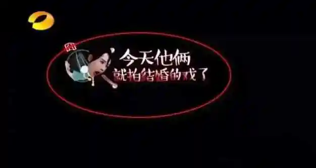 恩爱消失的6年:杨紫,秦俊杰背后的故事|童星|刘涛|张雪迎|张一山|女