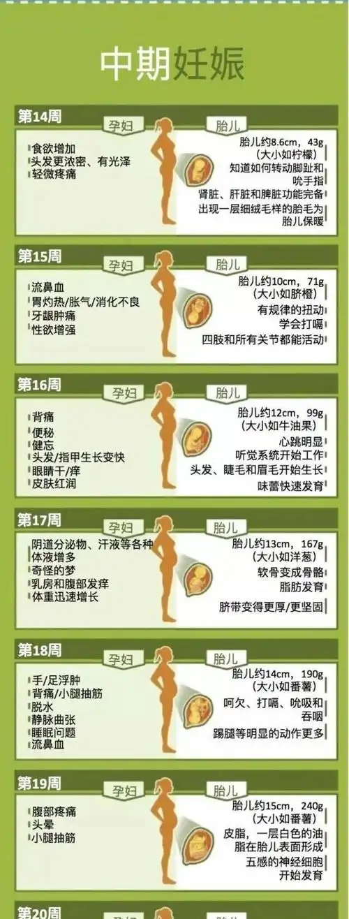 下边这一组图告诉你,怀孕后的每一周你和胎儿都会有哪些变化:当得知