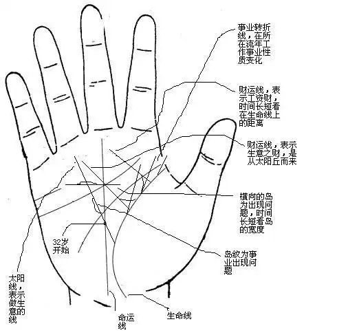 【引用】手相图解 手相大全