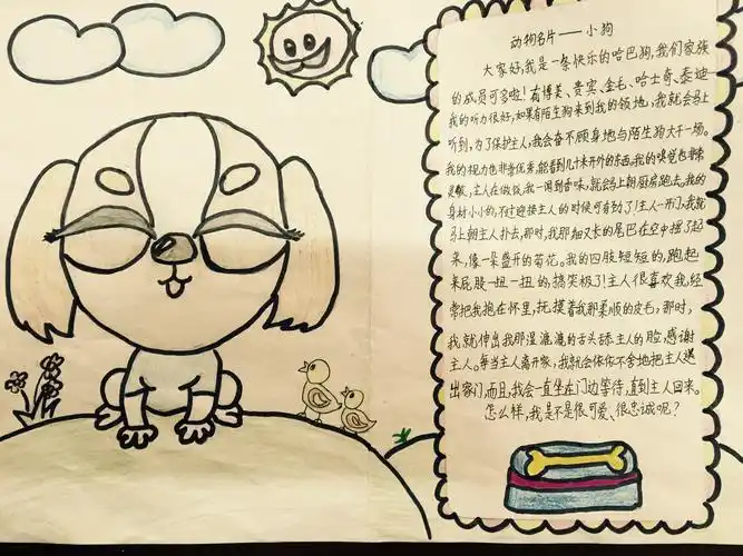 三年级"动物名片设计大赛"总结