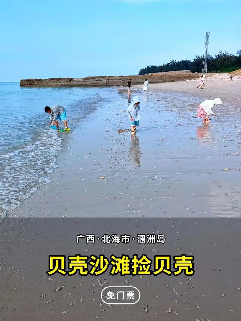 涠洲岛贝壳最多的地方就在贝壳沙滩,但是 - 抖音