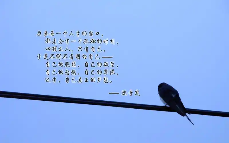 梦想励志文字电脑壁纸梦想励志文字文字带字