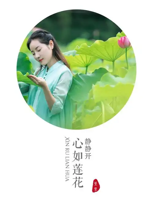 心如莲花静静开