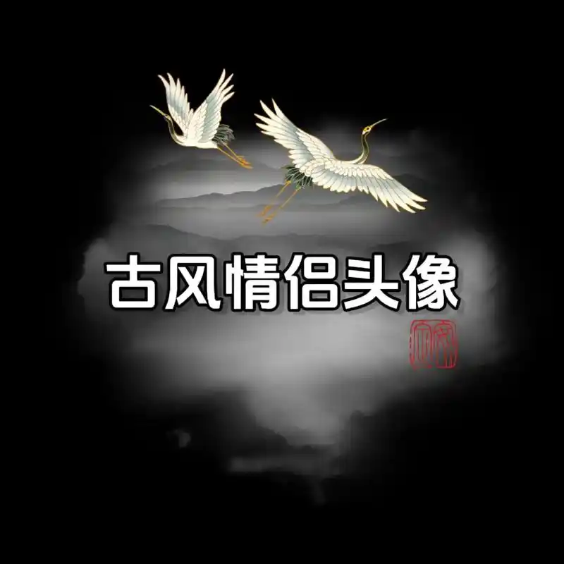 本欲起身离红尘,奈何影子落人间.#古风头像 #古风 #情侣头 - 抖音