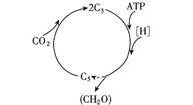 如图为小麦叶片光合作用暗反应阶段的示意图.下列叙述正确的是 a.