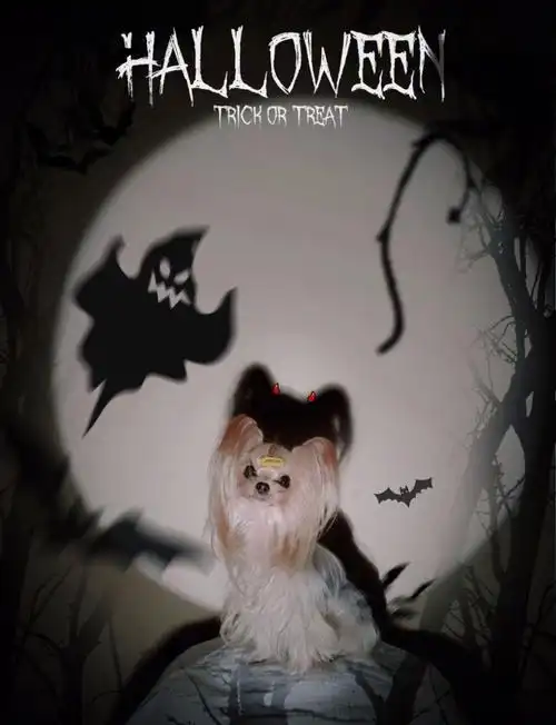 哇这是什么鬼可爱鬼