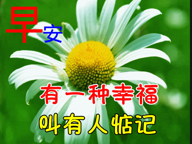 知己暖心田,逍遥情怡然,知音话语甜,情谊永相伴,早安送问候,开心每