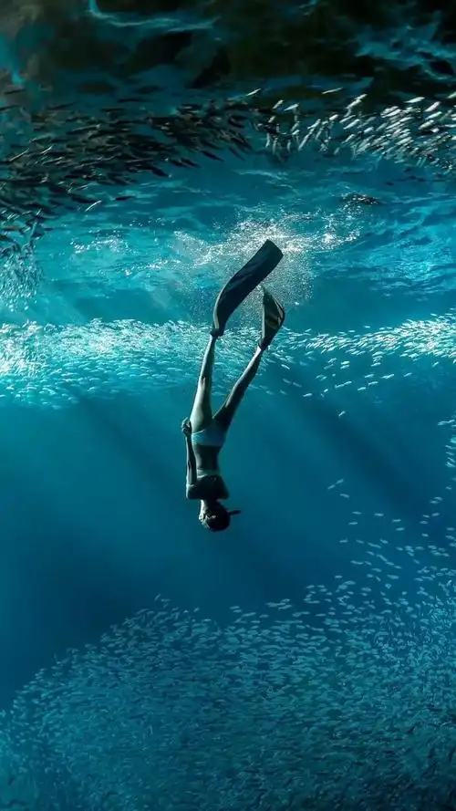 女潜水员在海底高清摄影图片