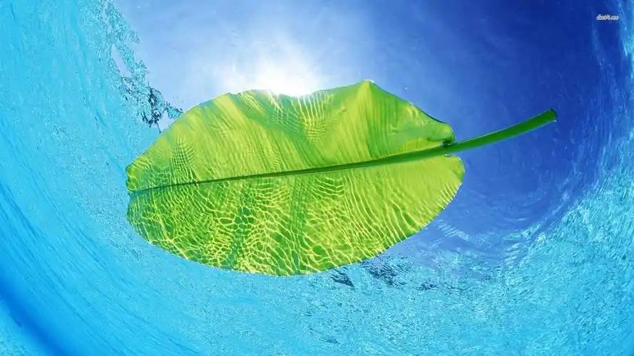 在线刷免费网站 - 一元100粉丝,卡盟平台抖音粉丝,抖音代刷业务网,抖