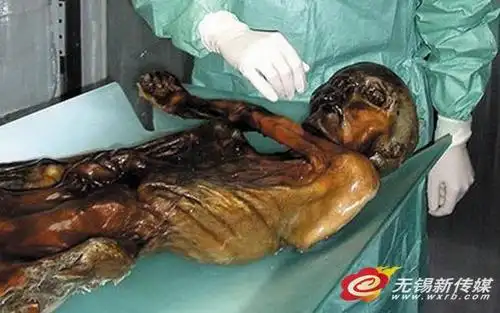 2016年中国传媒大学电视学院712新闻传播史论之《中国