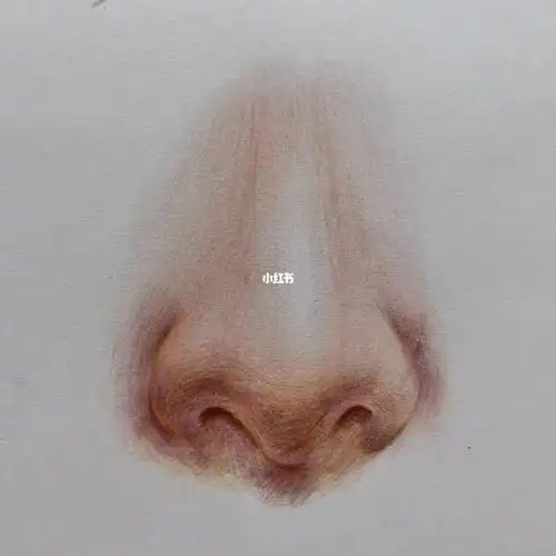 彩铅人物局部鼻子步骤图#彩铅画  #彩铅人物  #人物局部 #鼻子的画法