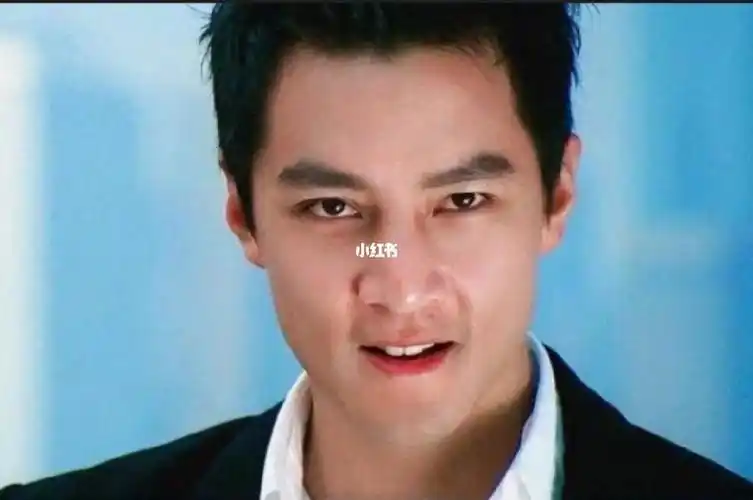 谁还能看出来这是吴彦祖大帅哥啊哈哈哈