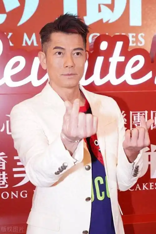 涉及电影共12部,其中,郭富城,杨千嬅主演的电影《麦路人》和舒淇主演