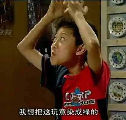 刘星:我想把你这玩意染成绿色的 - 一波最近很火的家有儿女表情包