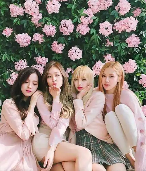 yg曝blackpink续约金,高达400亿韩元,粉丝:真不多