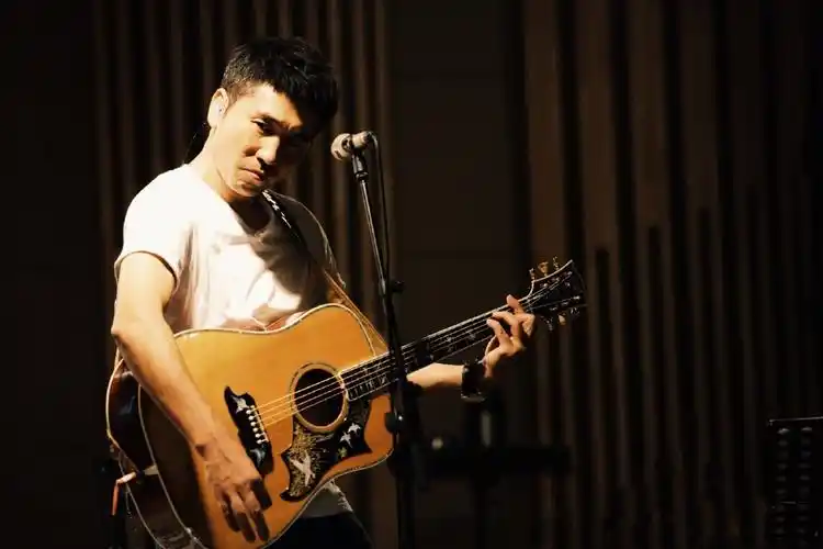 沙宝亮跳水怎么了(曾经苦练杂技的沙宝亮,在事业蒸蒸日上之时走上音乐