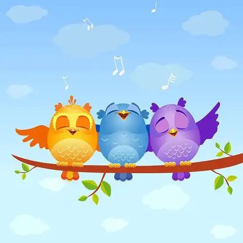 可爱的黄鸟孤立鸣唱