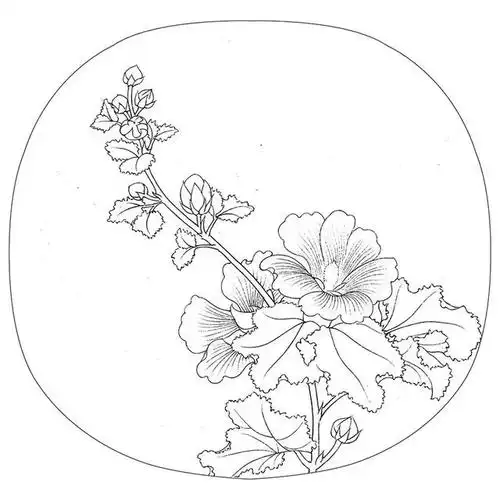 绘画素材|花鸟白描线稿参考20例