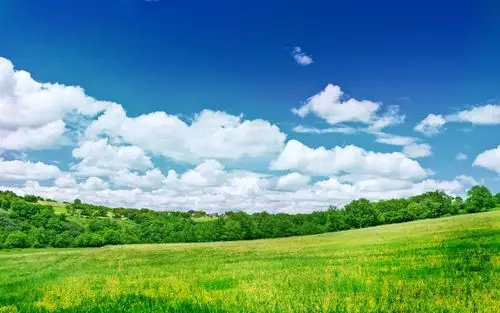 清新绿色草原护眼唯美高清风景桌面壁纸