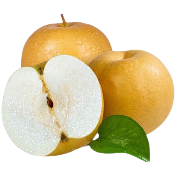 正宗莱阳秋月梨 羊脂秋月冰糖梨 优选果8-12粒 净重4.5-5斤