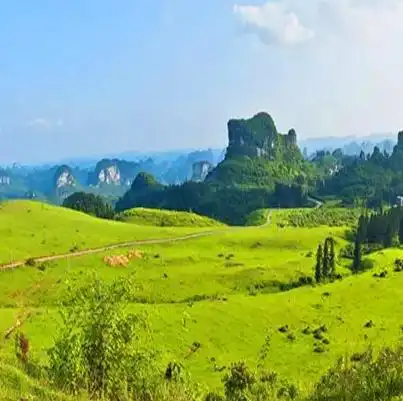 中国最美高山草甸排行榜-排行榜123网