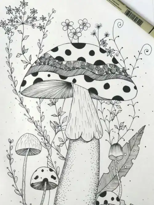 画画控笔练习线描画黑白装饰画