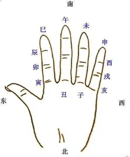 怎样在手上看十二生肖掌诀