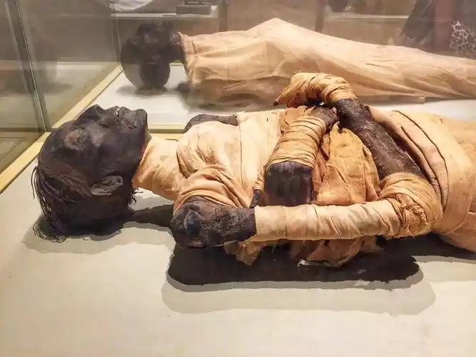 进入金字塔的人无一例外得病死去 意外发现木乃伊千年不腐