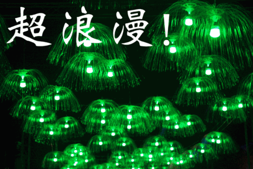 640_427gif 动态图 动图