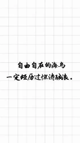 文字,句子,短句,霸气,爱情,情感,古风,励志