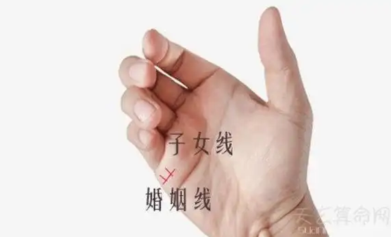 什么是子女线,子女线是横纹还是竖纹,其实在手相中的子女线是生长在一