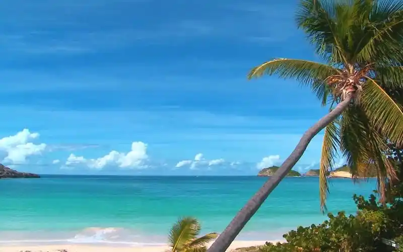 深屋音乐混合视频2023