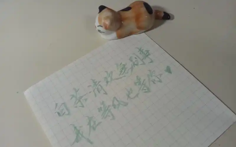 活动  【阿瑾の手写】"白茶清欢无别事,我在等风也等你.