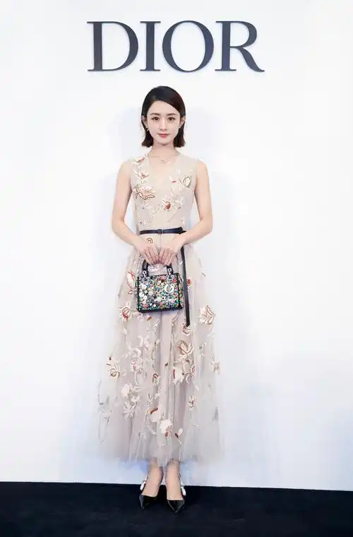 赵丽颖深v刺绣长裙礼服性感图片