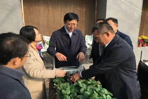 李献荣到第一书记任职村调研指导工作