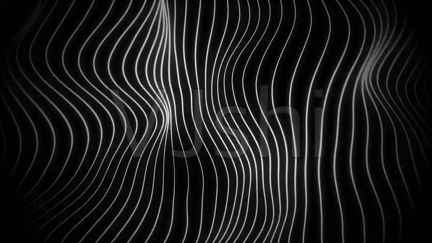 抽象艺术线条-11循环