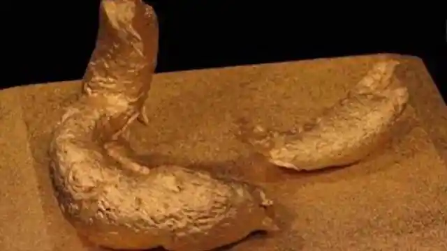 世界上5个用"粪便"做的最贵物品 一件3000万 送我都不要!