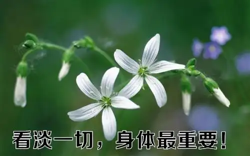 看淡一切身体最重要的说说