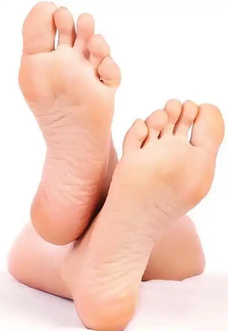 绘画参考#脚的素材