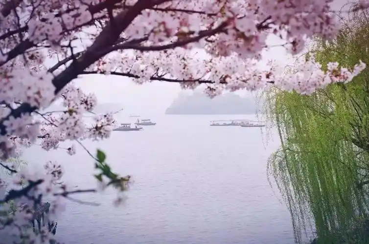醉美不过,江南春!_烟雨